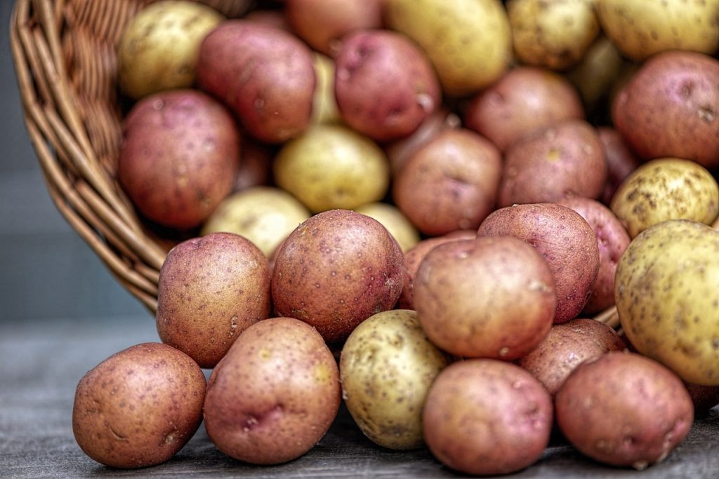 je choisis mes pommes de terre