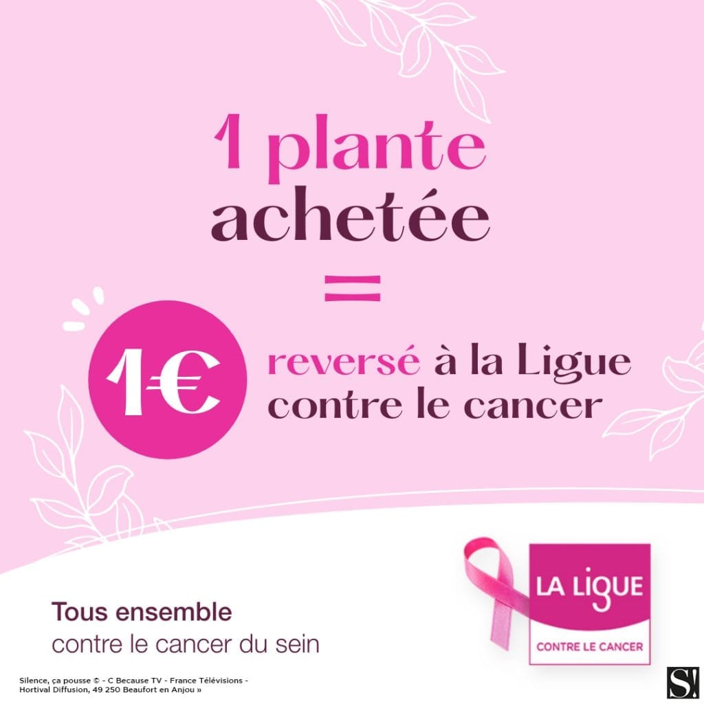 Opération Octobre Rose