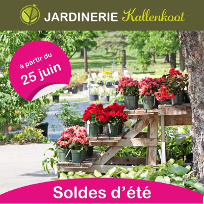 CM Juin Jardinerie Kallenkoot