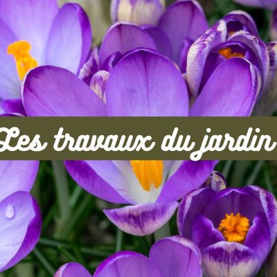 Jardinerie Kallenkoot agenda jardin2