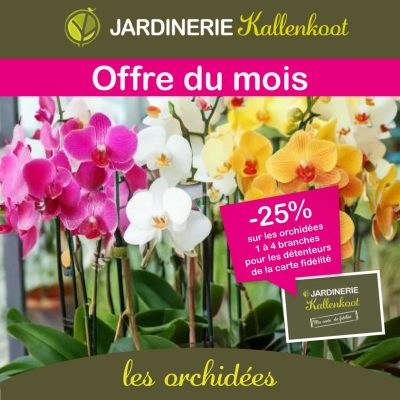 Promo Orchidées